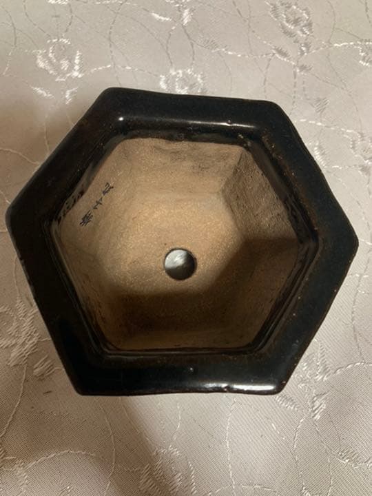 獅子丸　六角　盆栽鉢