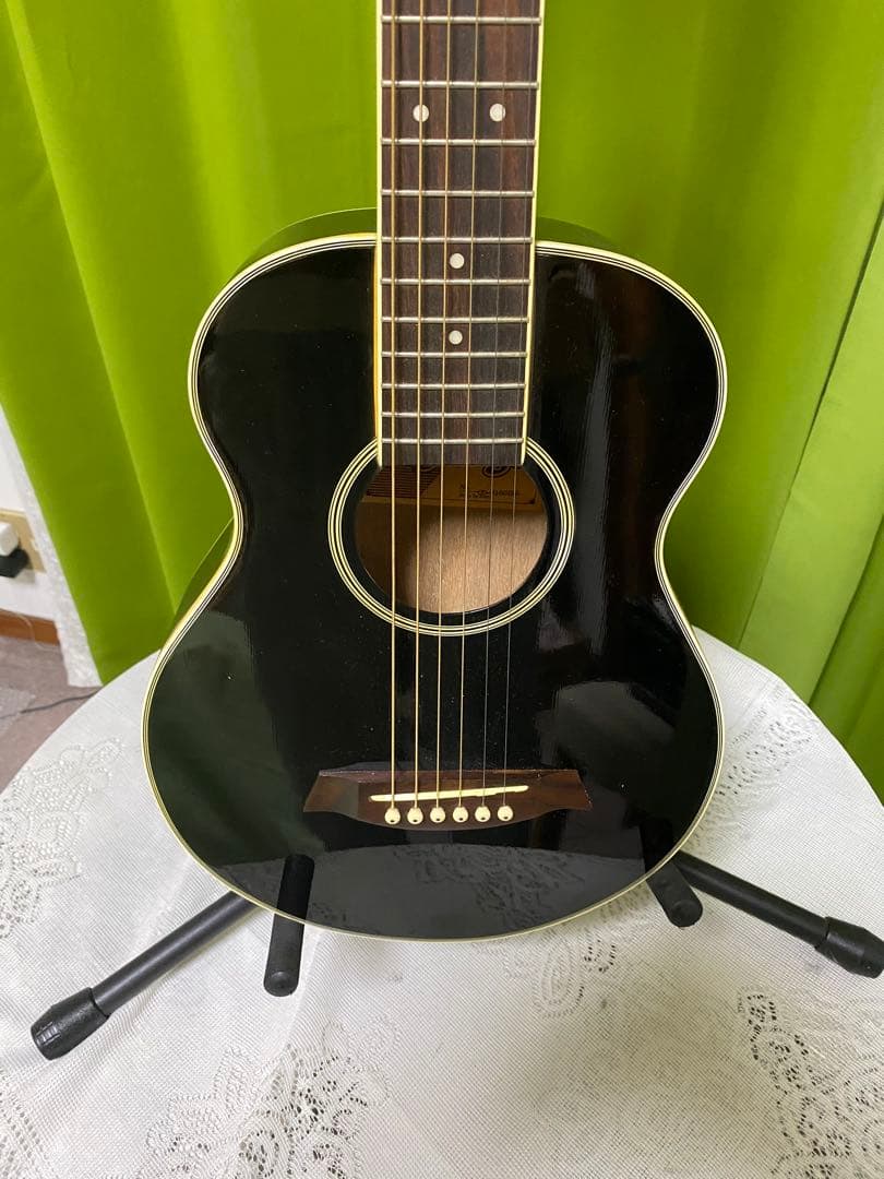 地*人様 極上美品　手の小さい方向き　取り回し易さ抜群KGarage ミニアコ