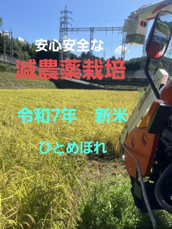 安心安全な減農薬栽培！　 令和7年産　ひとめぼれ　 玄米10キロ送料込み