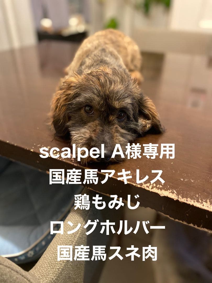 scalpel A　馬アキレス　スネ肉　鶏もみじ