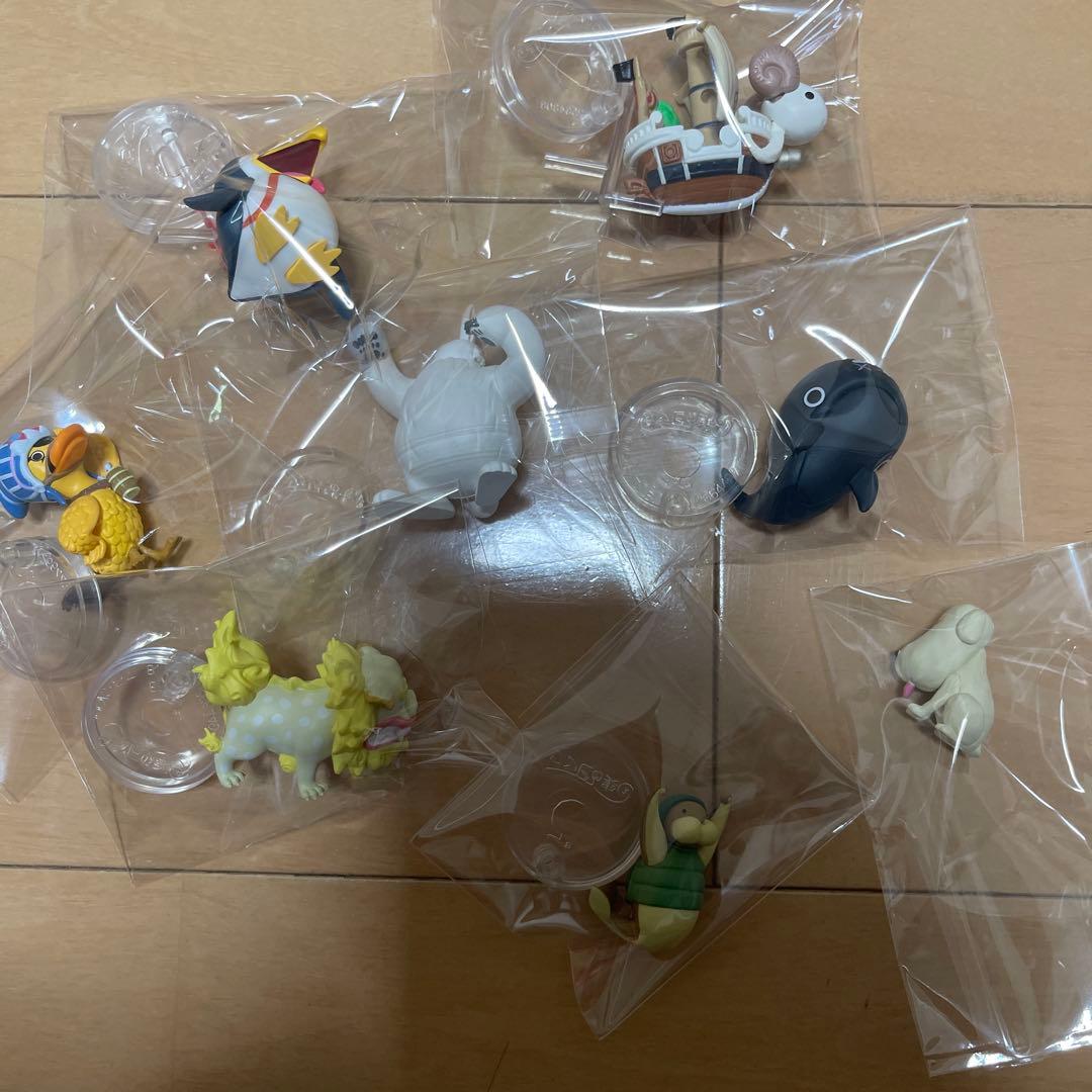 ワンピの実　まとめ売り