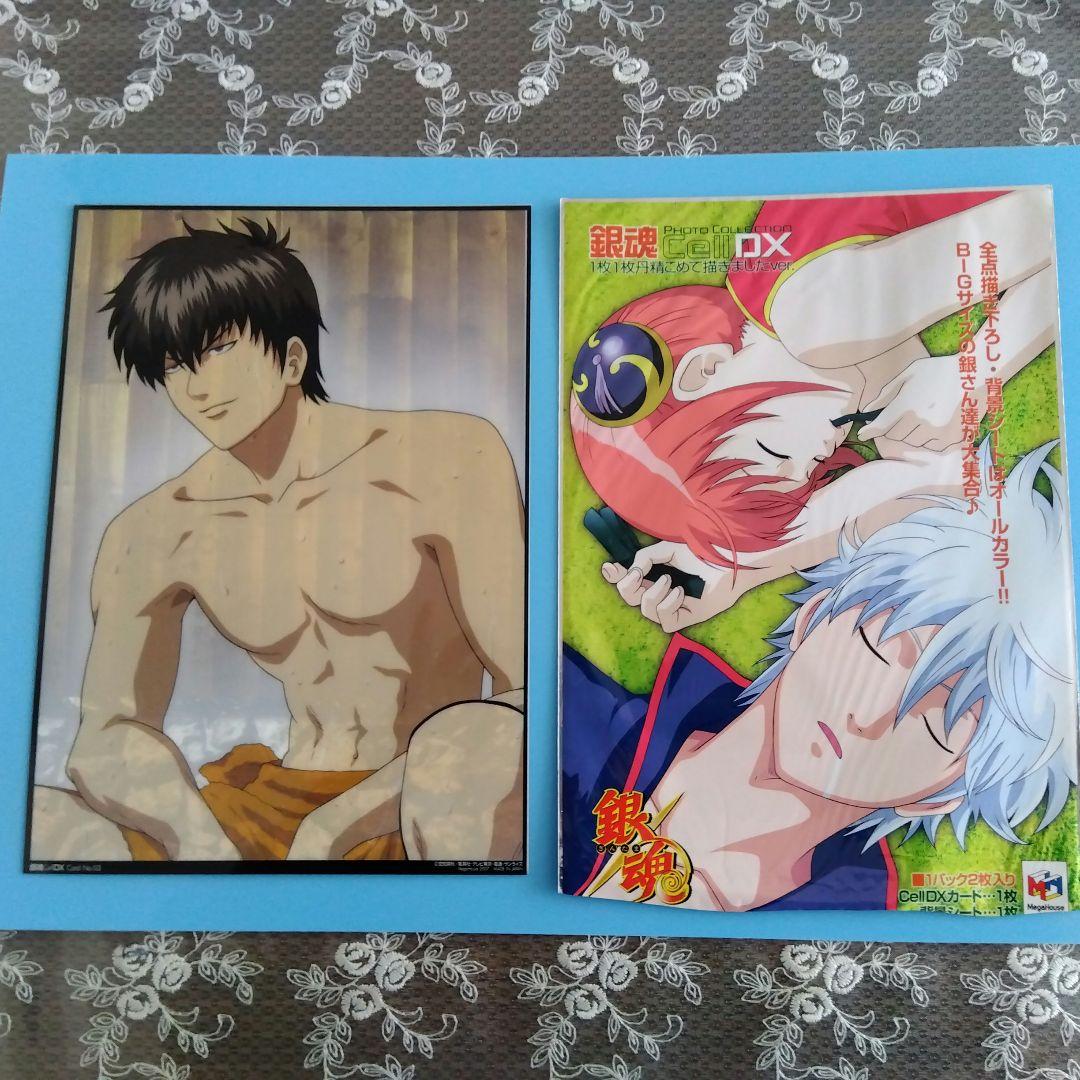 銀魂　土方十四郎　PHOTO　COLLECTION　Cell　DX