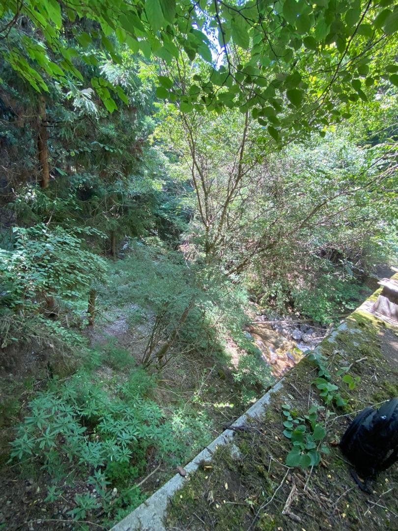 ハチミツ　日本蜜蜂の蜂蜜　奥山の奥