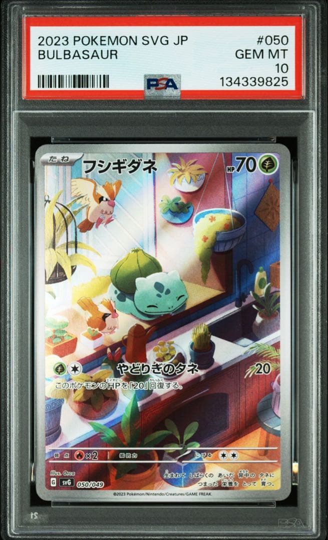 3連番 PSA10 フシギダネ AR ヒトカゲ AR ゼニガメ AR プロモ ⑦