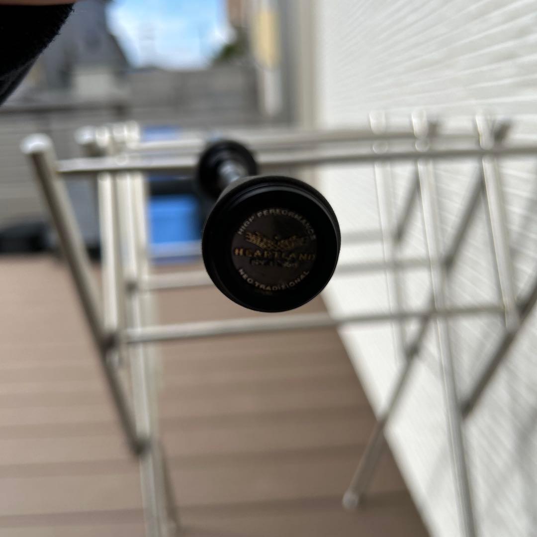 ハートランド冴掛ミッジディレクションST