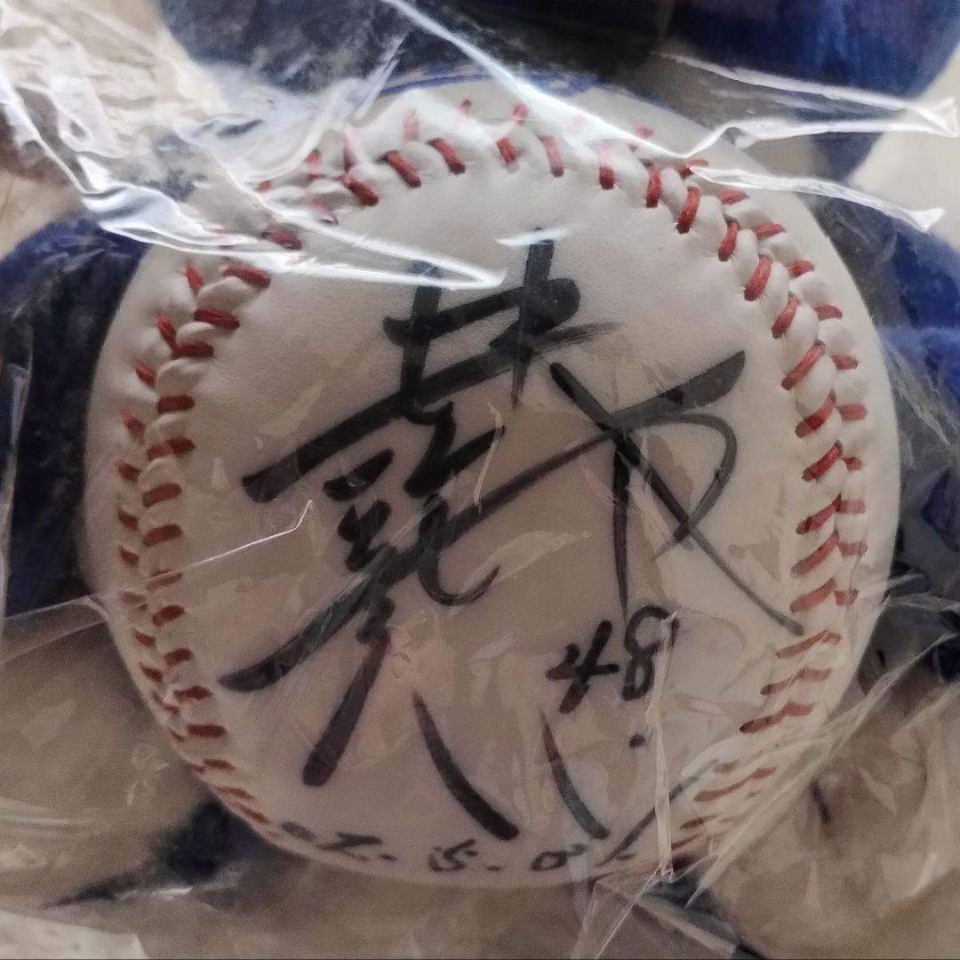 侍ジャパン　井端弘和監督　中日ドラゴンズ　コアラ　直筆サイン　ぬいぐるみ