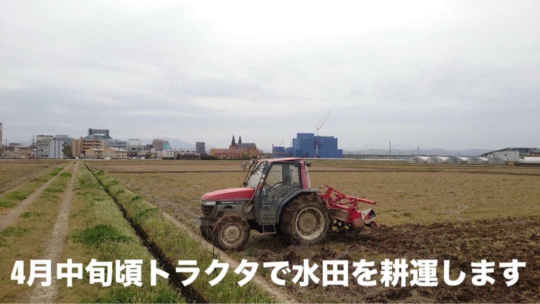 R7年産特別栽培 新潟の高級米 新之助 30㌔ 玄米 田植え後農薬は除草剤のみ