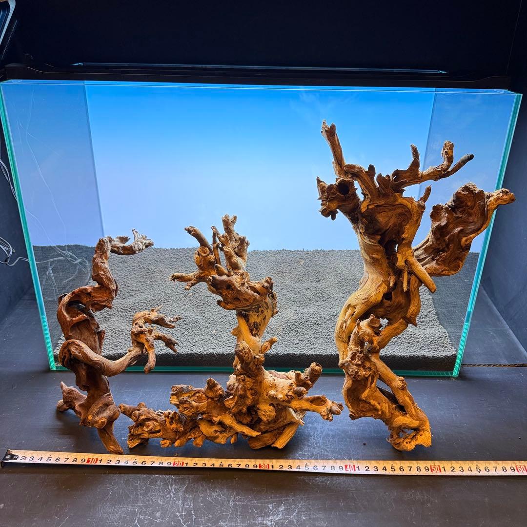 MSW-7099 天然流木 3本セット　枝流木　アクアリウム
