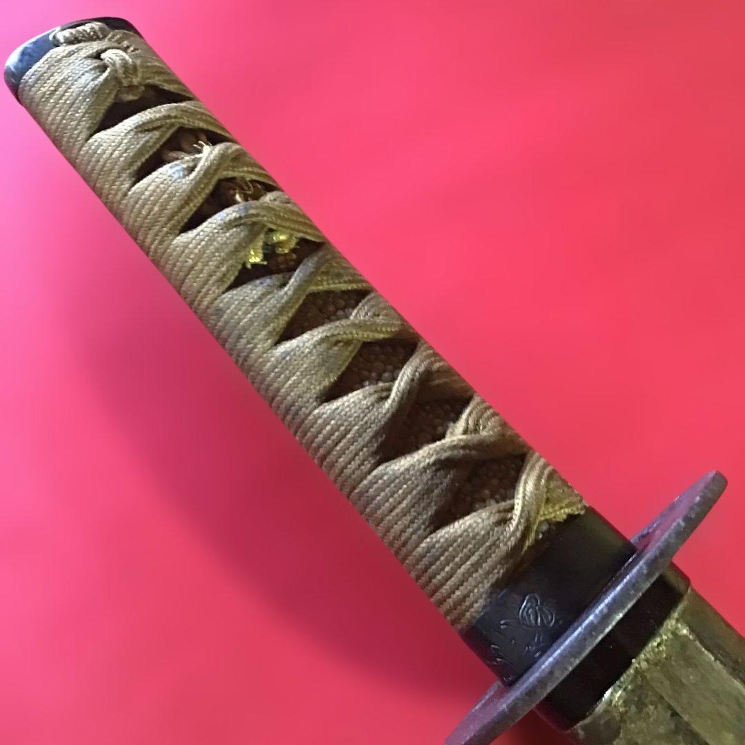 脇差一作拵　目貫飛龍　金被切刃　安親在銘鍔　金泥塗鞘　繋ぎは木製