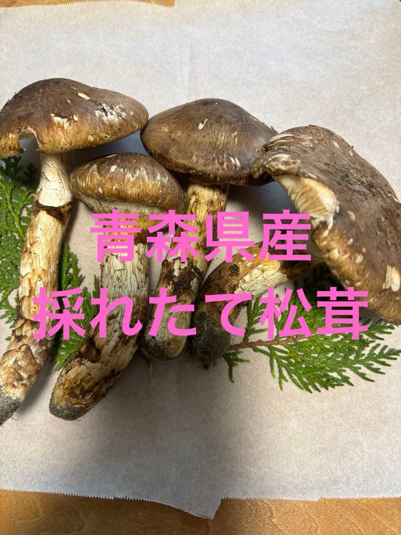 青森県産松茸
