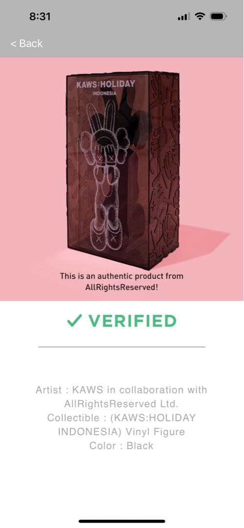 KAWS Indonesia フィギュア