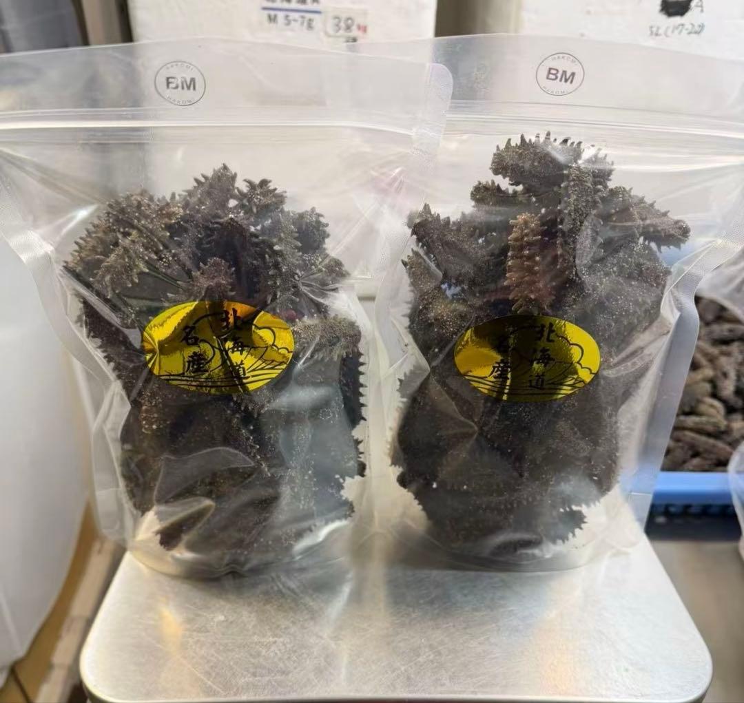 北海道産　乾燥海鼠ナマコ B品 形の良い訳あり品 100g