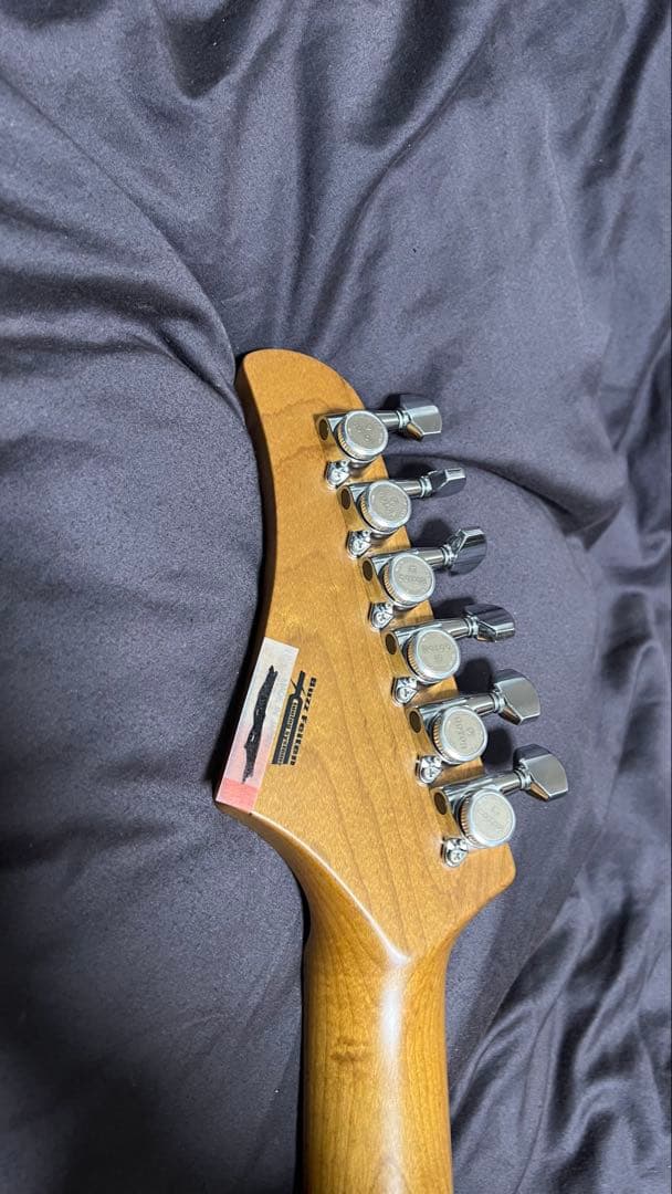 ギター T's guitars DST 24