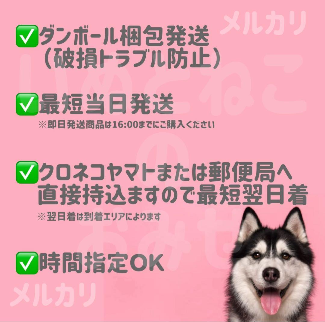 お好きな【320g×2袋】フィーラインナチュラル キャットフード