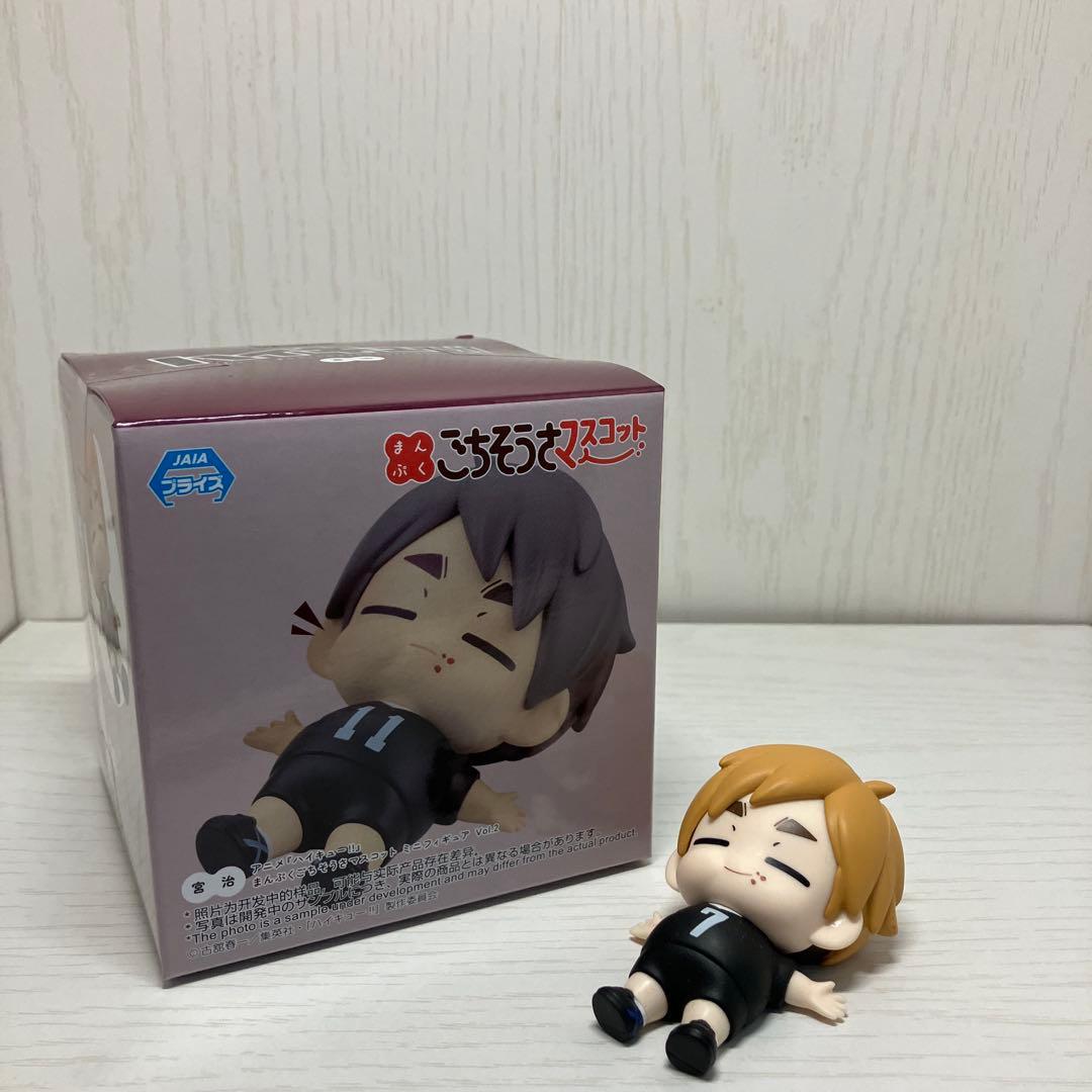 ハイキュー フィギュアセット 日向翔陽 影山飛雄 黒尾鉄朗 孤爪研磨 宮侑 宮治