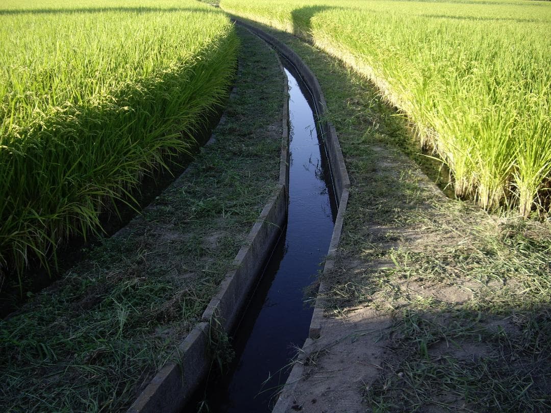 令和７年度兵庫県産 つきあかり 玄米30kg※精米可 本州・四国・九州は送料無料