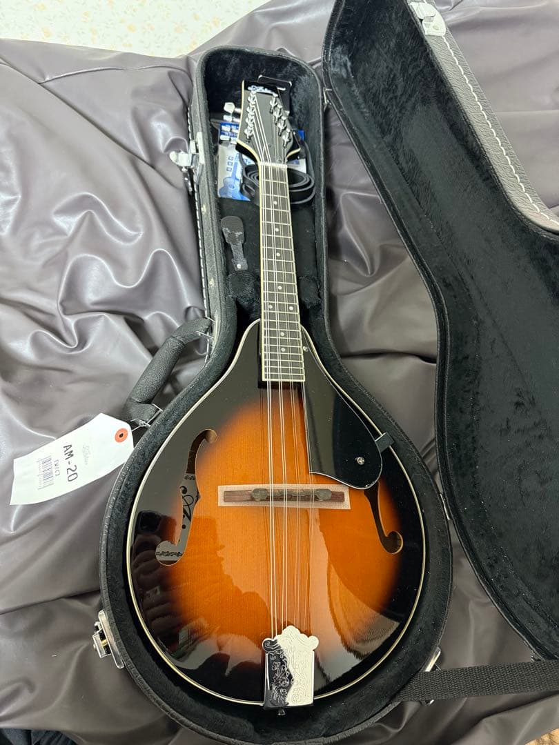 Aria AM-20 マンドリン 本体　ケース付き