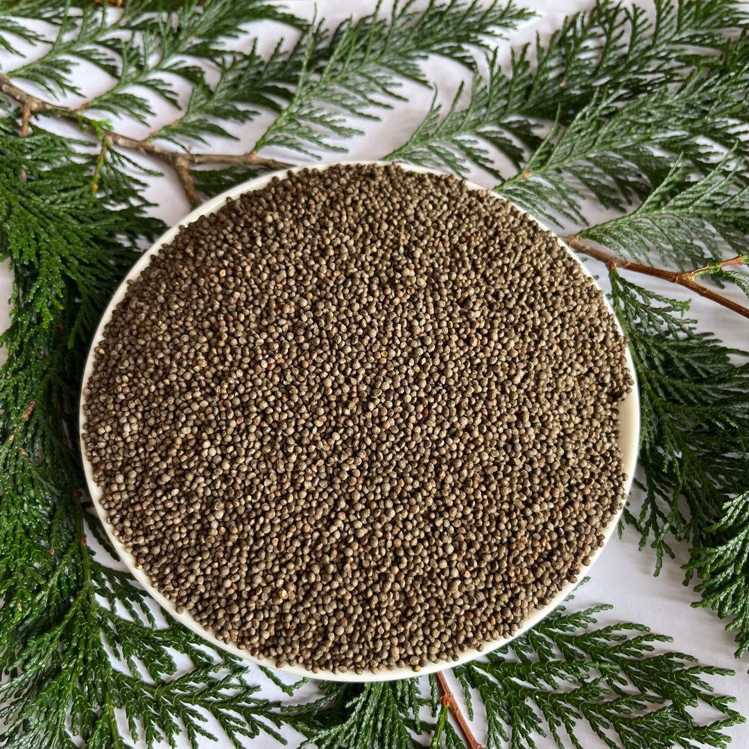 しろねこさま専用　5キロ