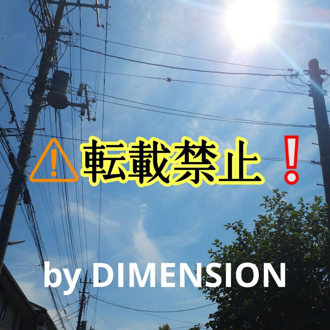 超希少❇龍神と対❇️鳳凰⭐四神⭐四神獣⭐四神相応⭐四神獣置物⭐お守り⭐心願成就