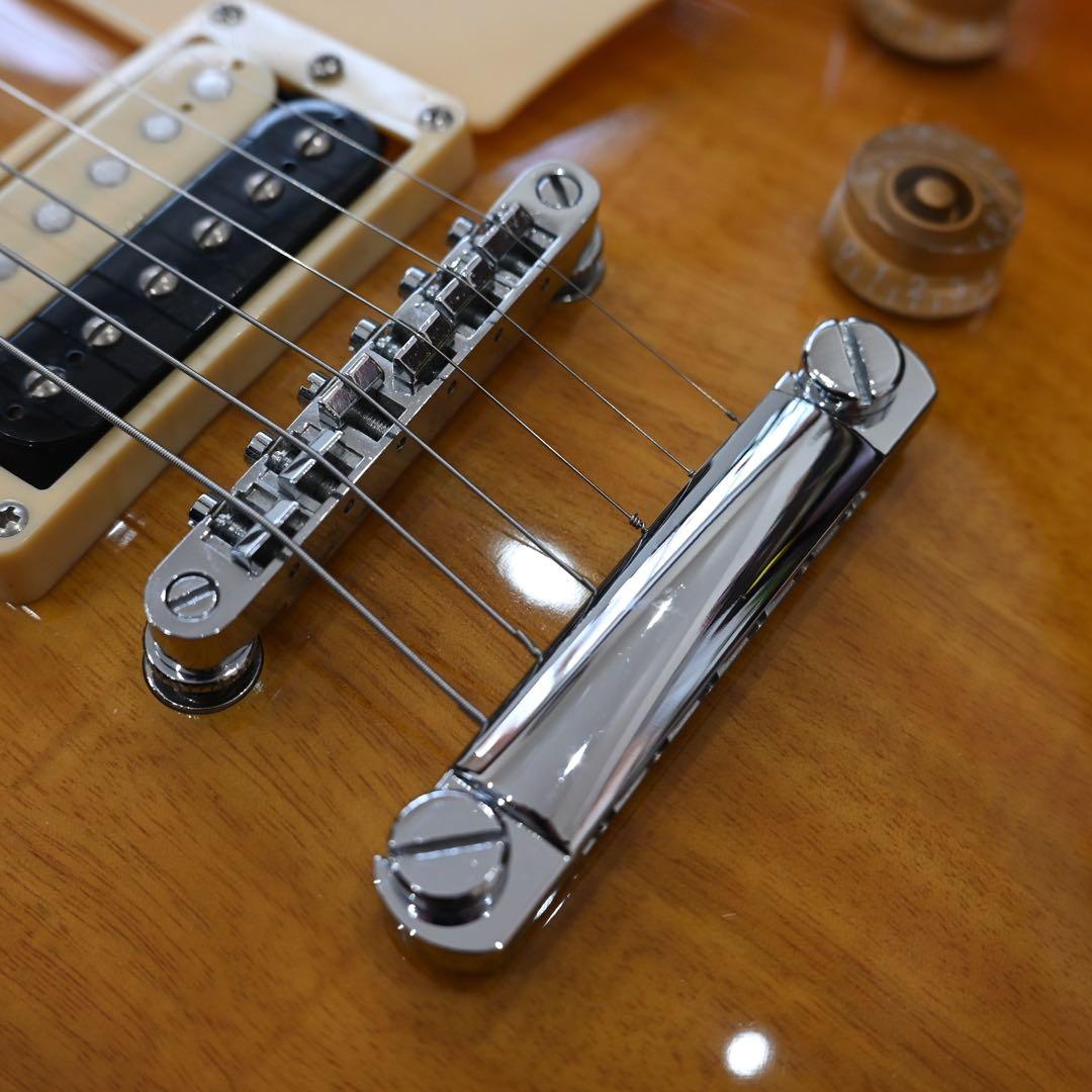 バッカス　レスポールスタンダードタイプ　ソフトケース付き