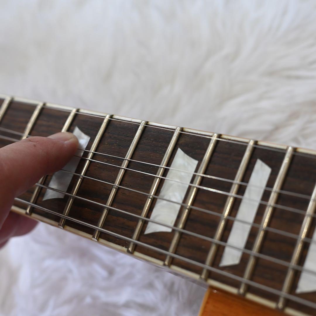 バッカス　レスポールスタンダードタイプ　ソフトケース付き