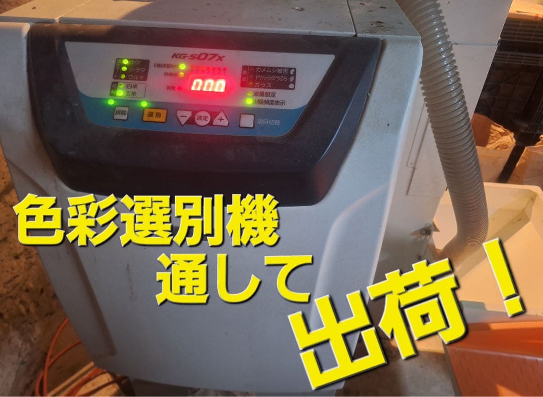 令和7年度　 とちぎの星　玄米　30k