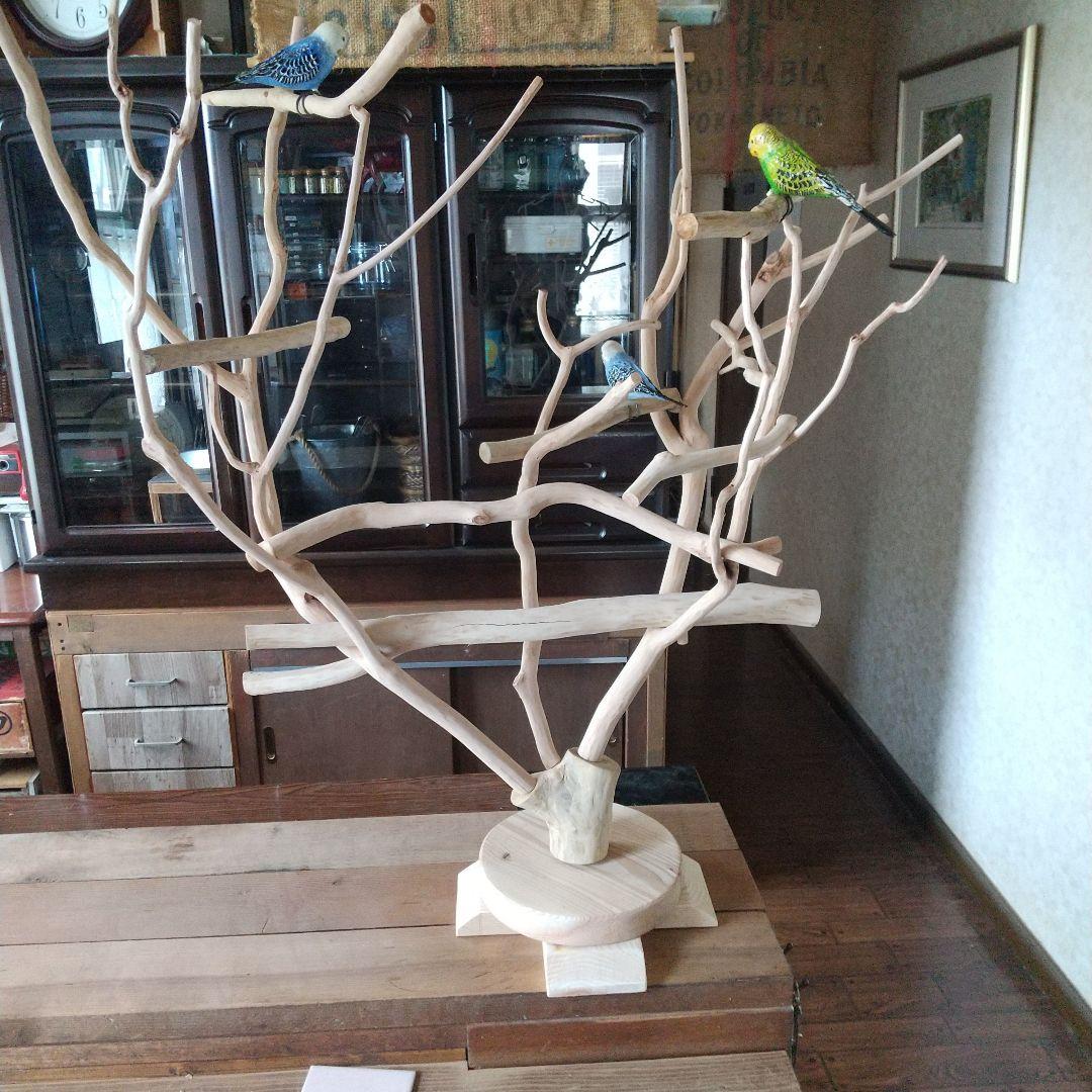 マロ小鳥の楽園バードアスレチックツリージム③