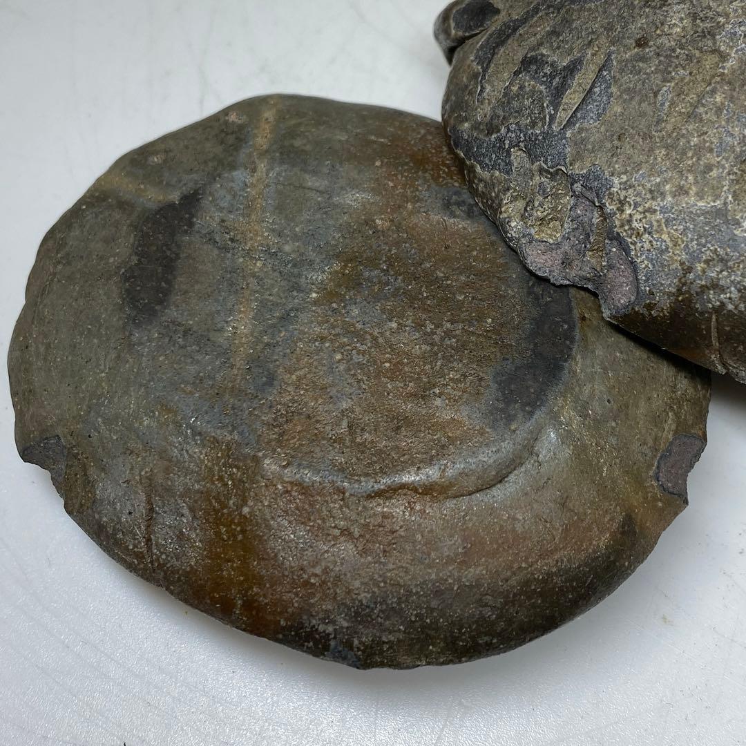 古備前 亀形香合 共箱 h4cm 東キ8-0121☆2F