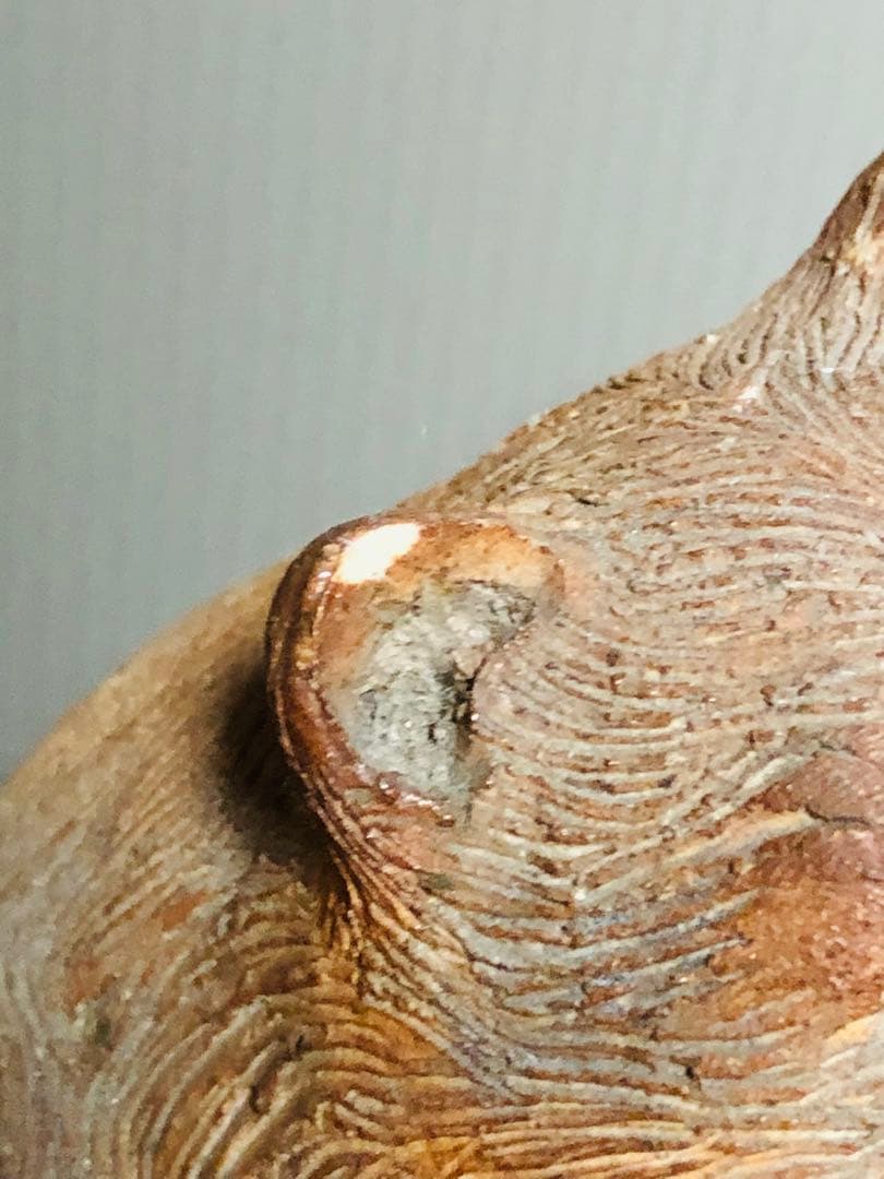 清水六兵衛　たぬき　狸　江戸　明治　大正　時代物　骨董品　置物　蔵出し