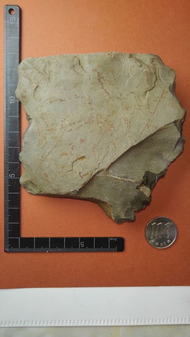 半磨製石器(出土品)　(約10㎝×約10㎝×約2・5㎝)