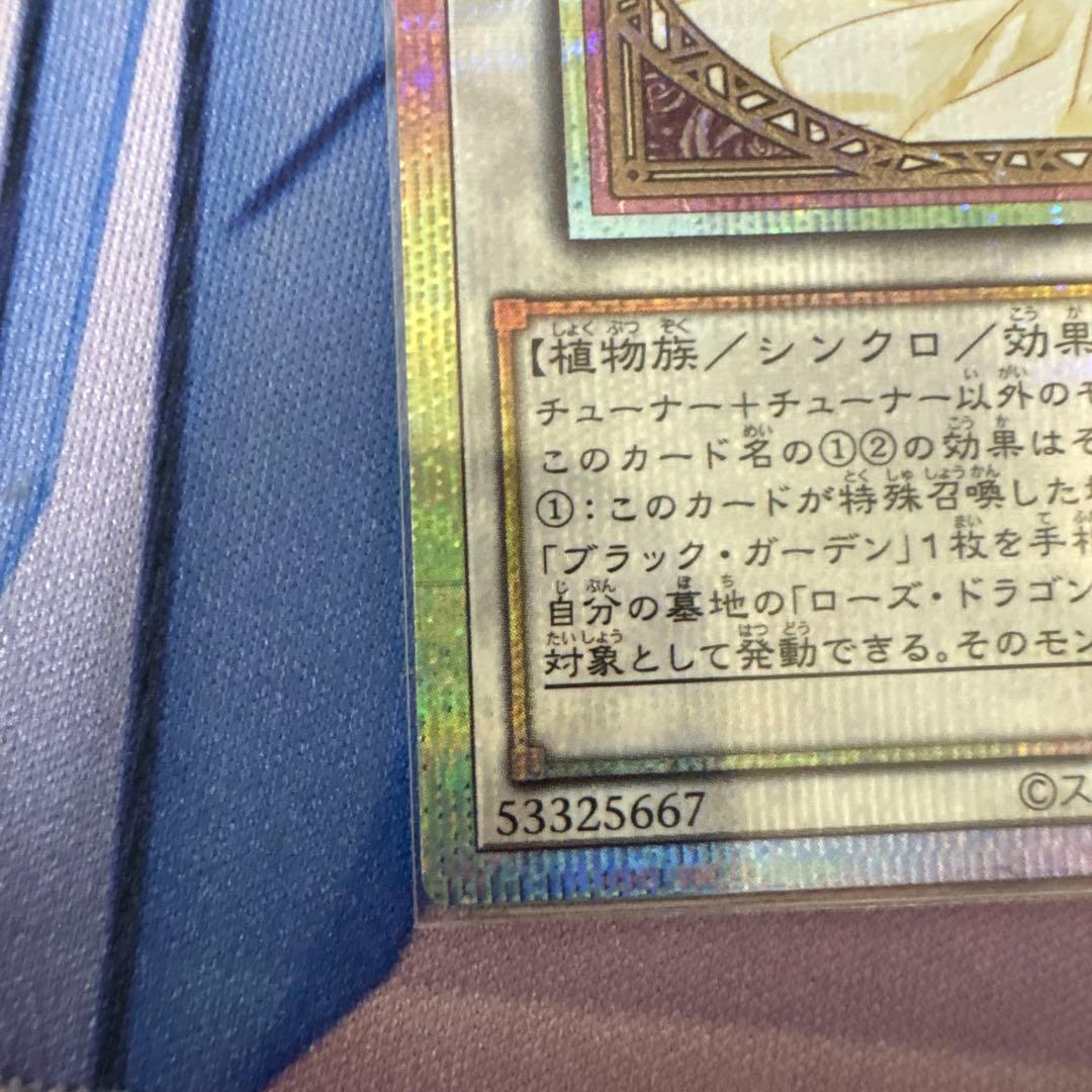 遊戯王　ガーデンローズメイデン　プリズマティックシークレットレア