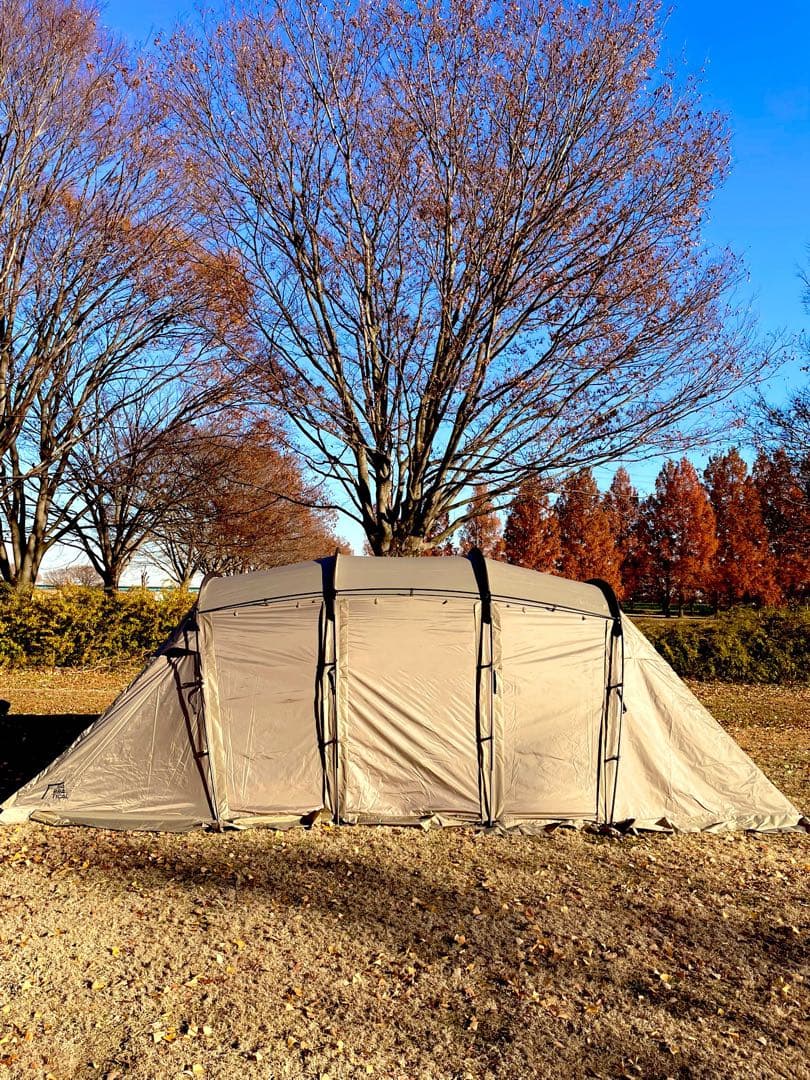 サバティカル　アルニカ　SABBTICAL ARNICA 使用回数2回