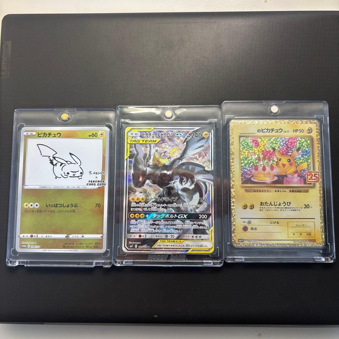 ピカチュウ＆ゼクロム、オタピカ、長場雄ピカチュウ引退品