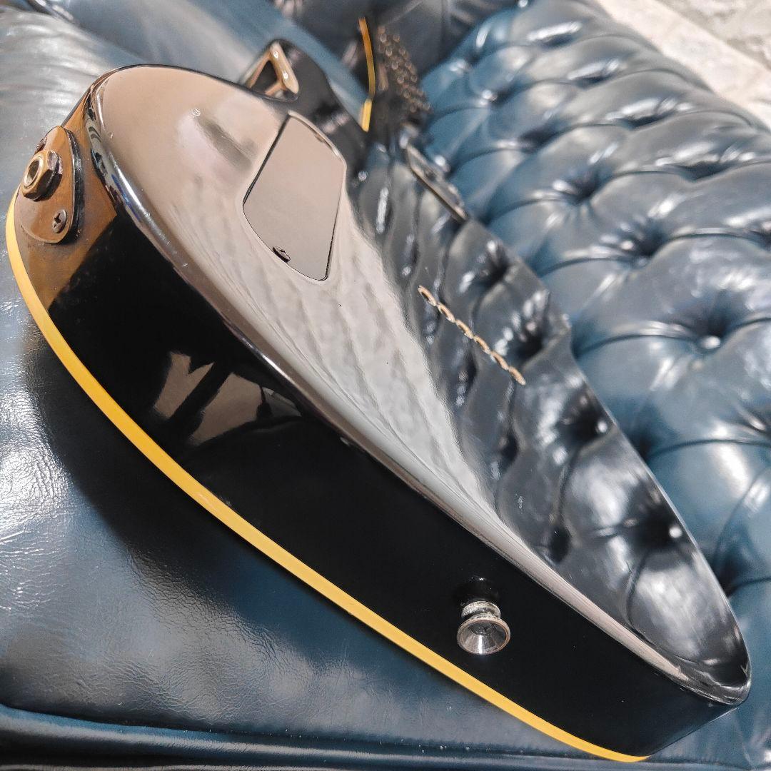 FERNANDES TEJ-STD LIMITED EDITION 布袋