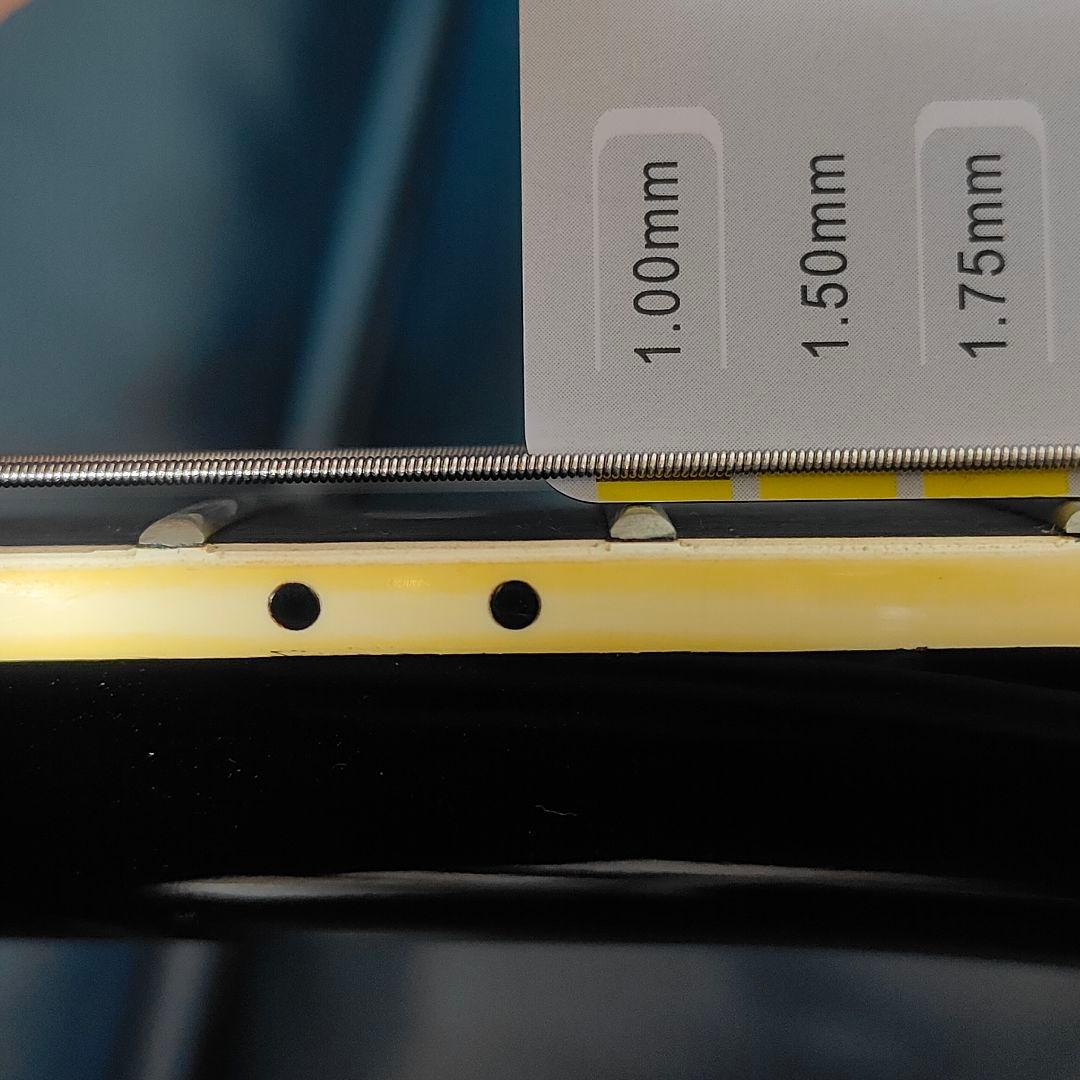 FERNANDES TEJ-STD LIMITED EDITION 布袋