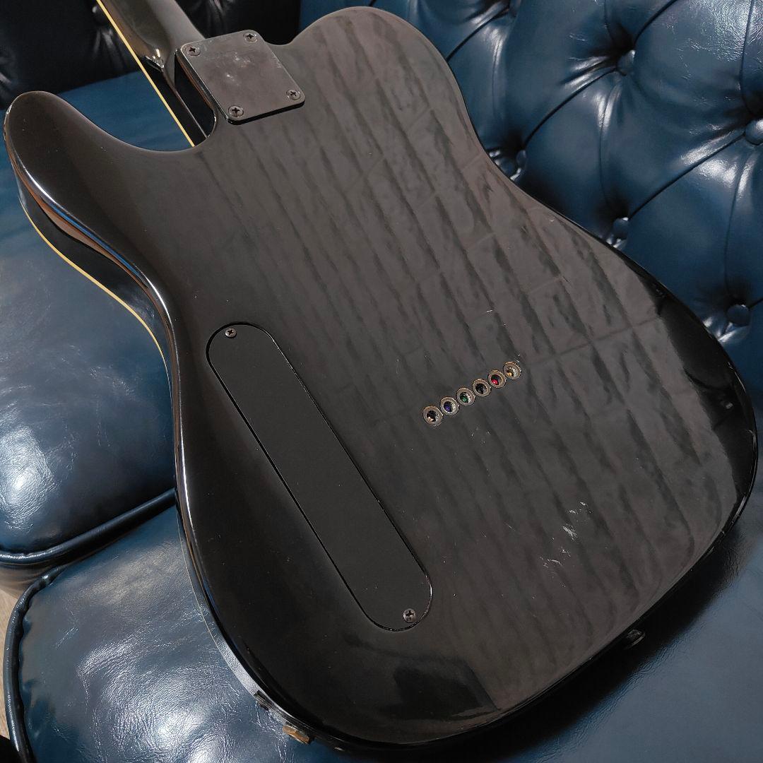 FERNANDES TEJ-STD LIMITED EDITION 布袋