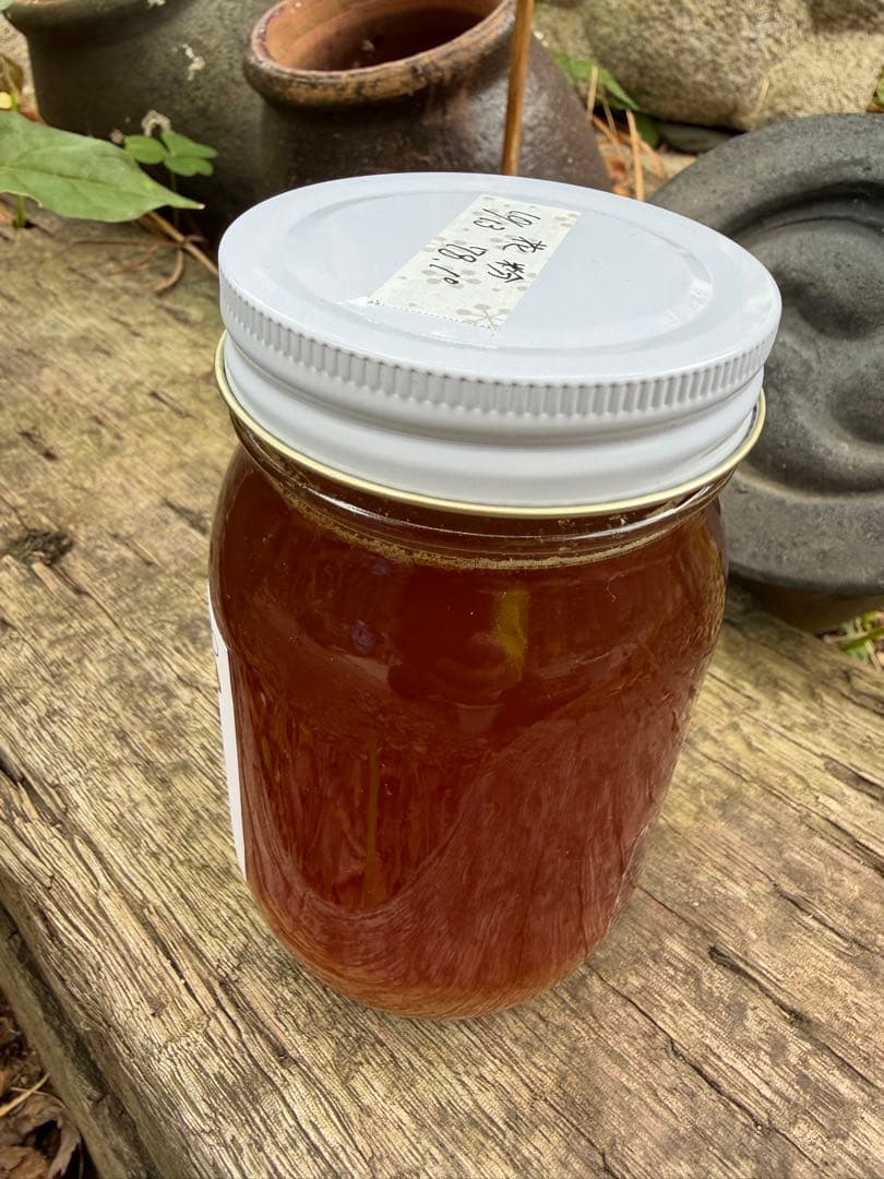 ハチミツ　日本蜜蜂の蜂蜜　巣箱違い谷違いの花粉入りはちみつ　奥山の奥