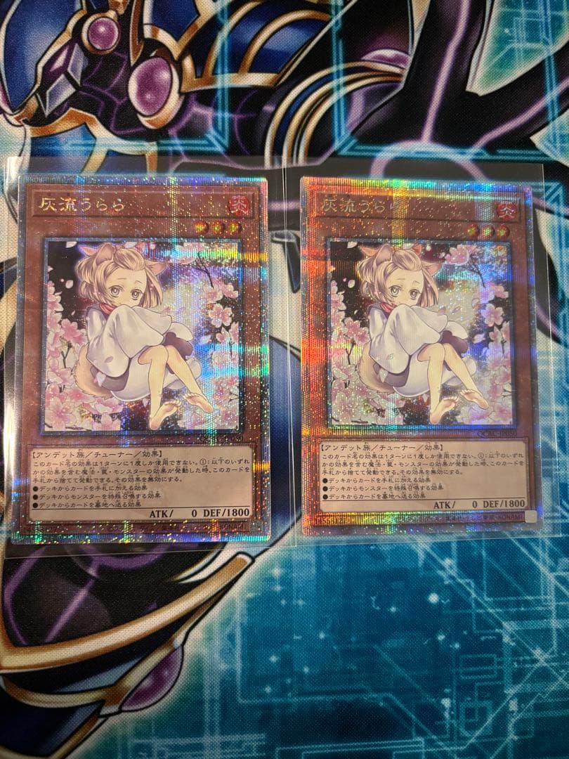 た*る様 灰流うらら　25th クオシク