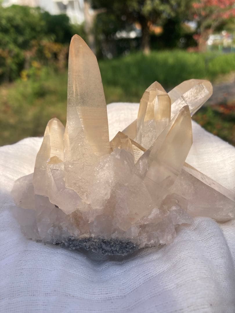 レムリアンシードピュアレイ　ゴールデンヒーラークラスター