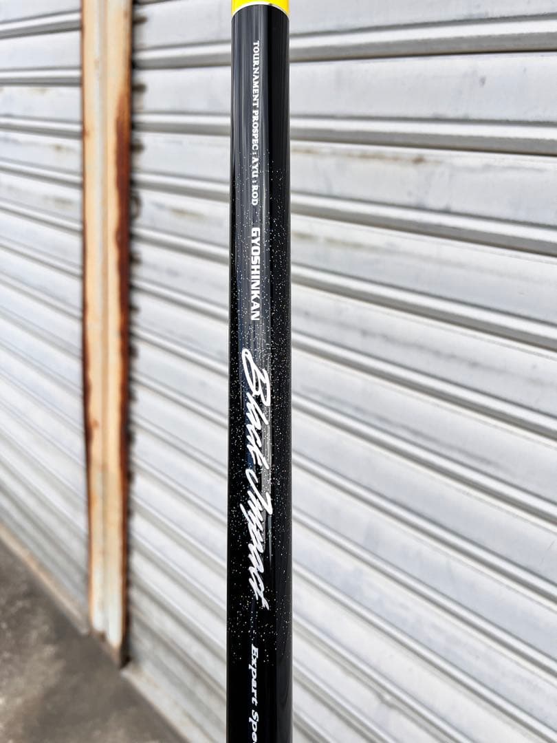 魚心観　オーダー品　2日8時間使用