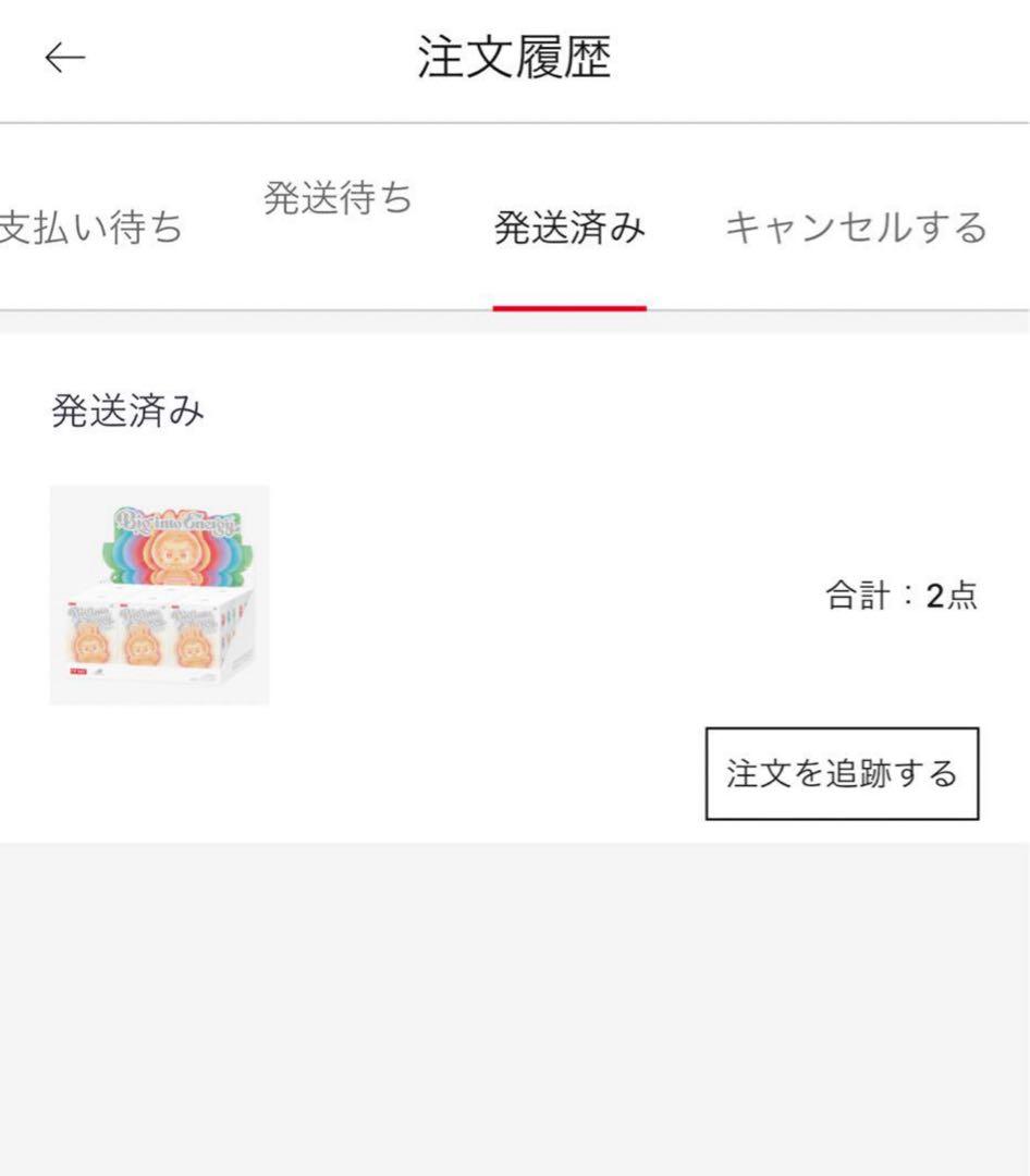 【正規品 未開封】ラブブ Big into Energy アソートボックス 2箱