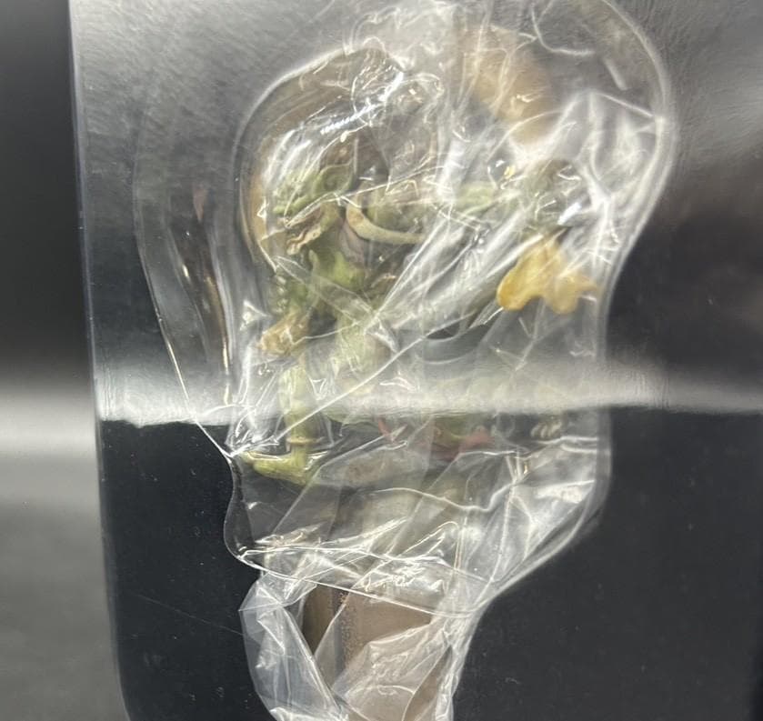 海洋堂 東京国立博物館公式 雷神 風神 屏風図 フィギュア 2体セット 俵屋宗達