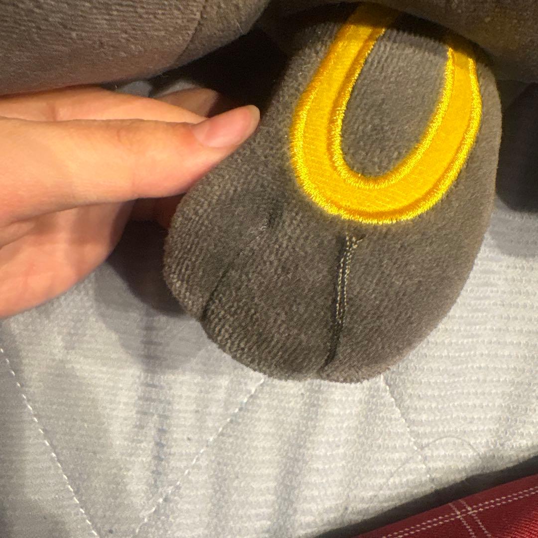 ポケモンセンター すやすやブラッキー ぬいぐるみ