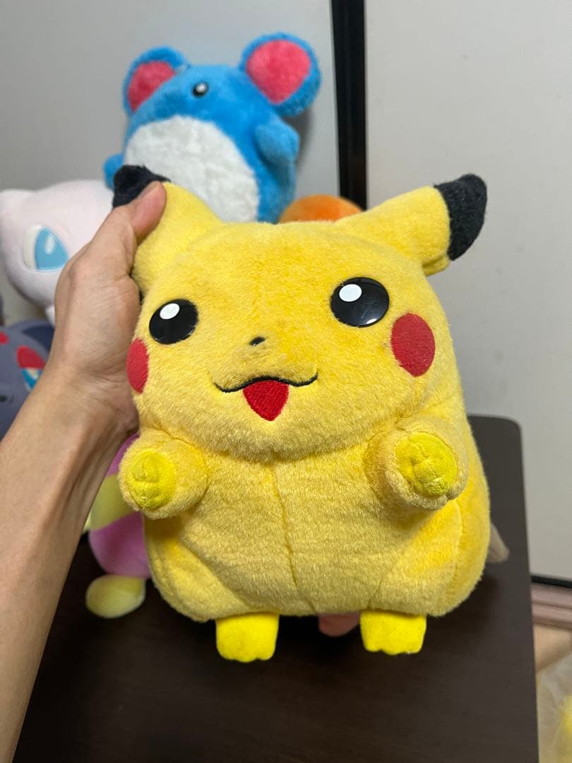 ポケモンぬいぐるみ　11セット