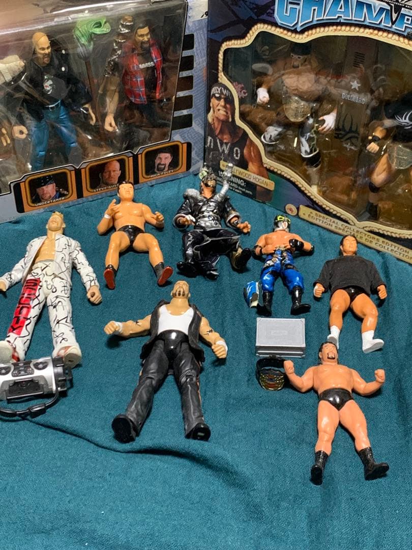難有 WCW ゴールドバーグ ホーガン WWE 欠品　ストーンコールド プロレス