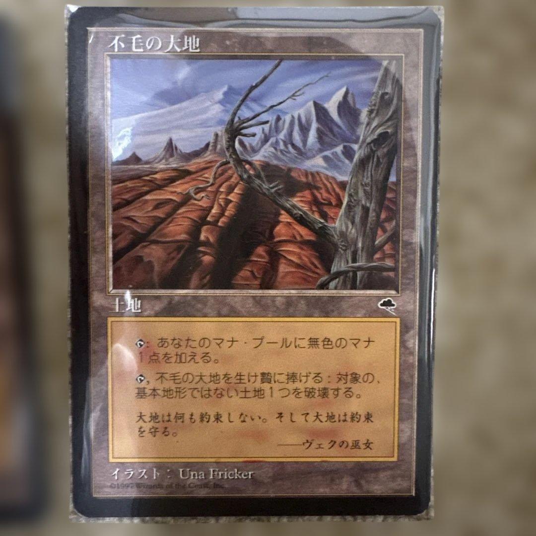 MTG 不毛の大地２枚セット