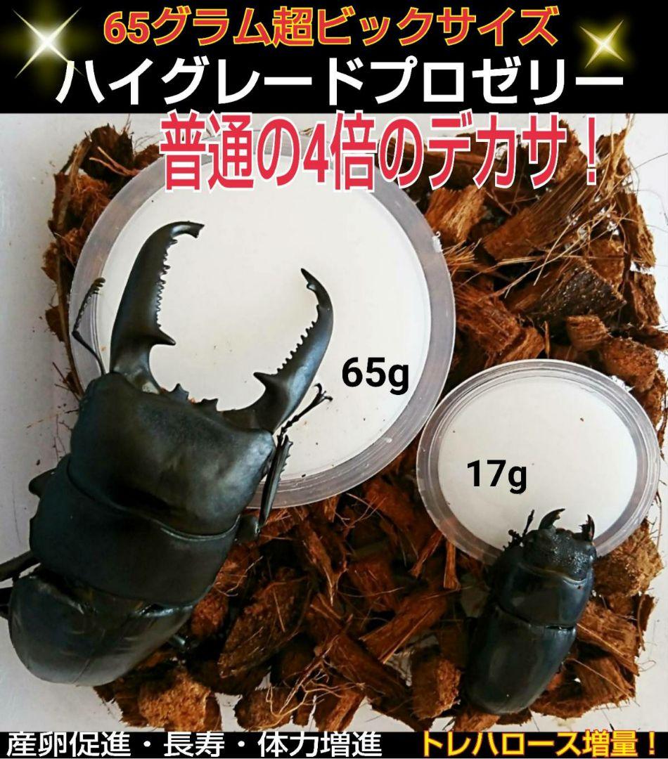 超ビッグサイズ！ハイグレードプロゼリー200個　普通の4倍以上のデカサ！プロ仕様