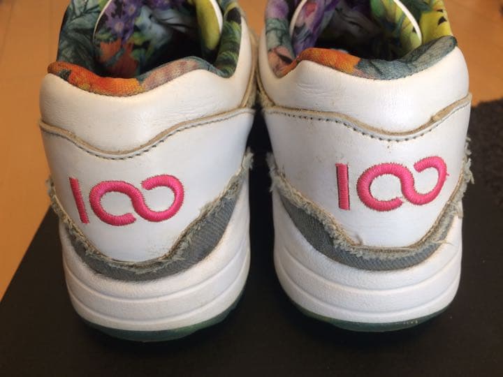 【超超レア・美品】 NIKE AIR MAX 1 G ナイキ マックス 25cm