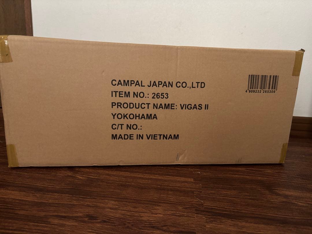 オガワ　ヴィガス2