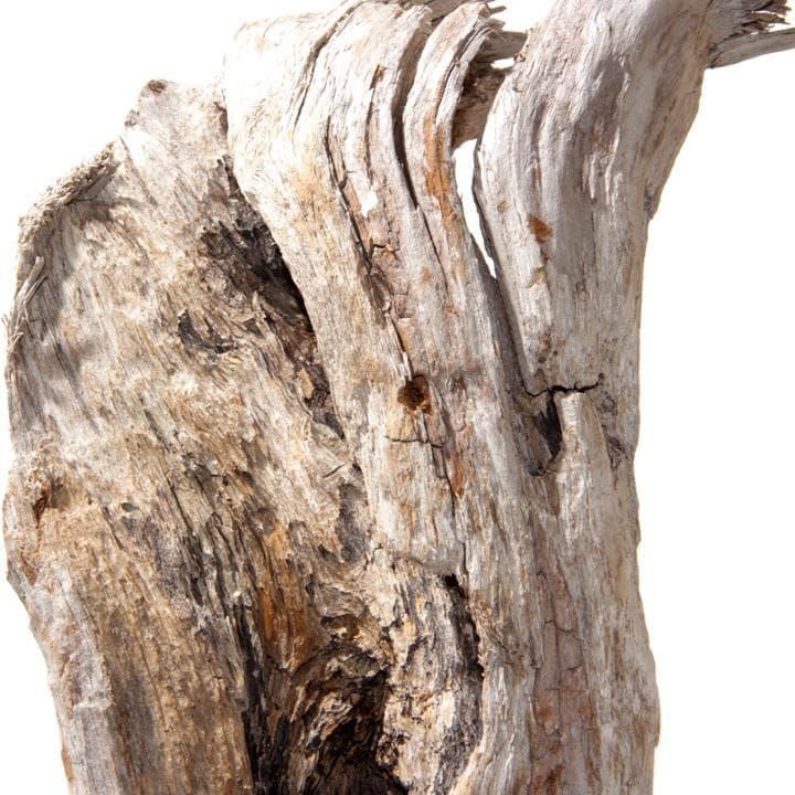 流木 インテリア レイアウト 51cm DIY 流木アート 天然 rybk9